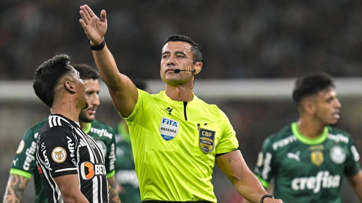 Brazilian referee Braulio da Silva Machado